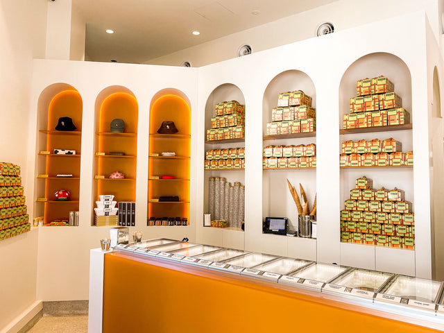 Inside Gelato Messina Manly