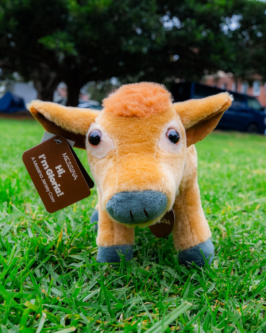 Cow Appreciation Day